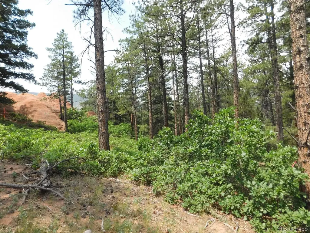 8356 Quivas Road Larkspur CO 80118