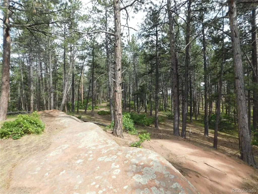8356 Quivas Road Larkspur CO 80118