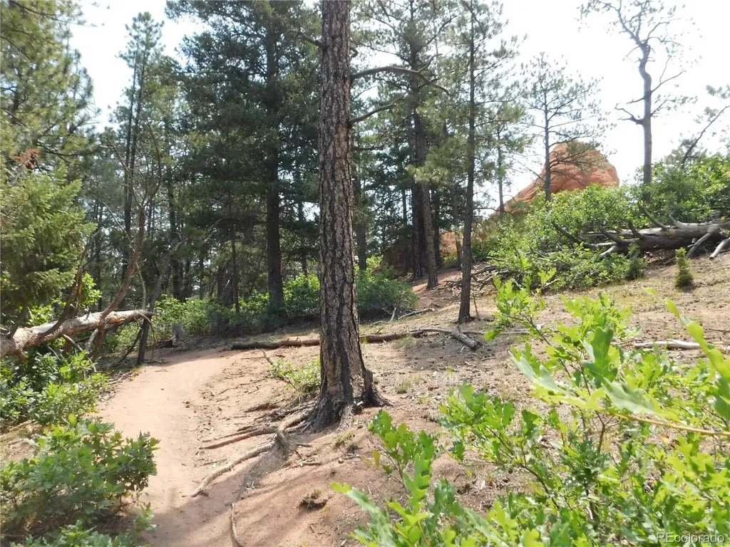 8356 Quivas Road Larkspur CO 80118