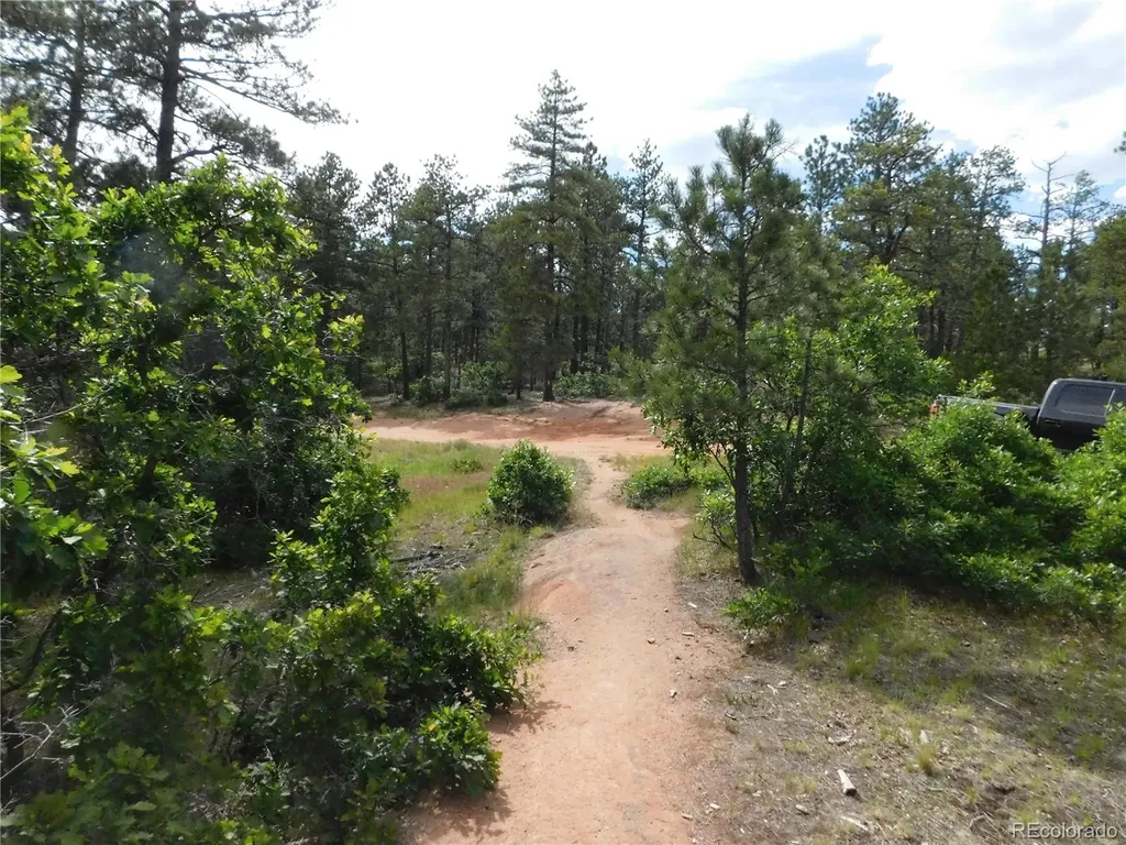 8356 Quivas Road Larkspur CO 80118