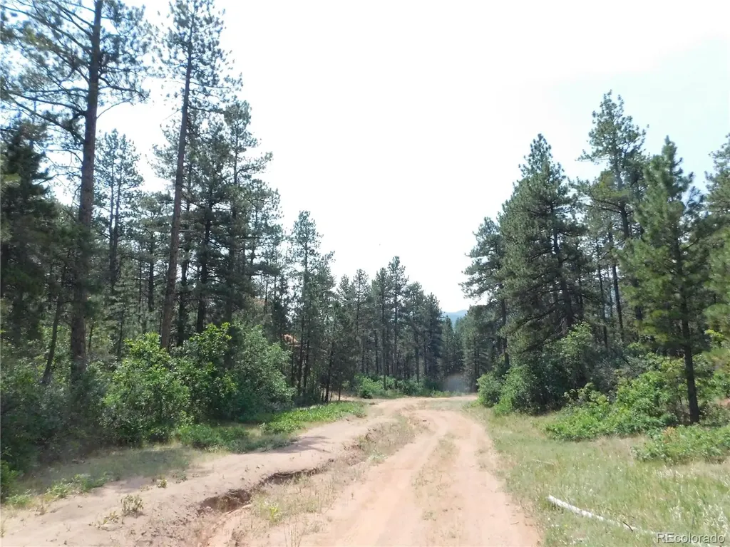 8356 Quivas Road Larkspur CO 80118