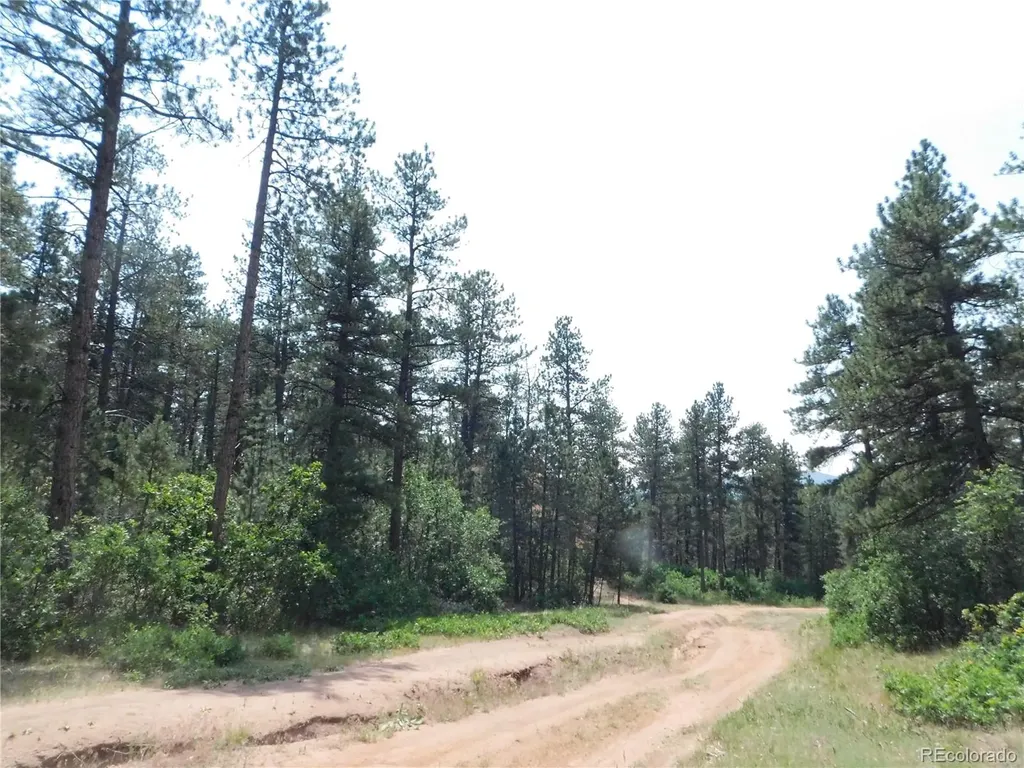 8356 Quivas Road Larkspur CO 80118