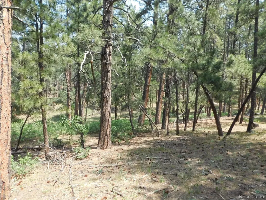 8356 Quivas Road Larkspur CO 80118