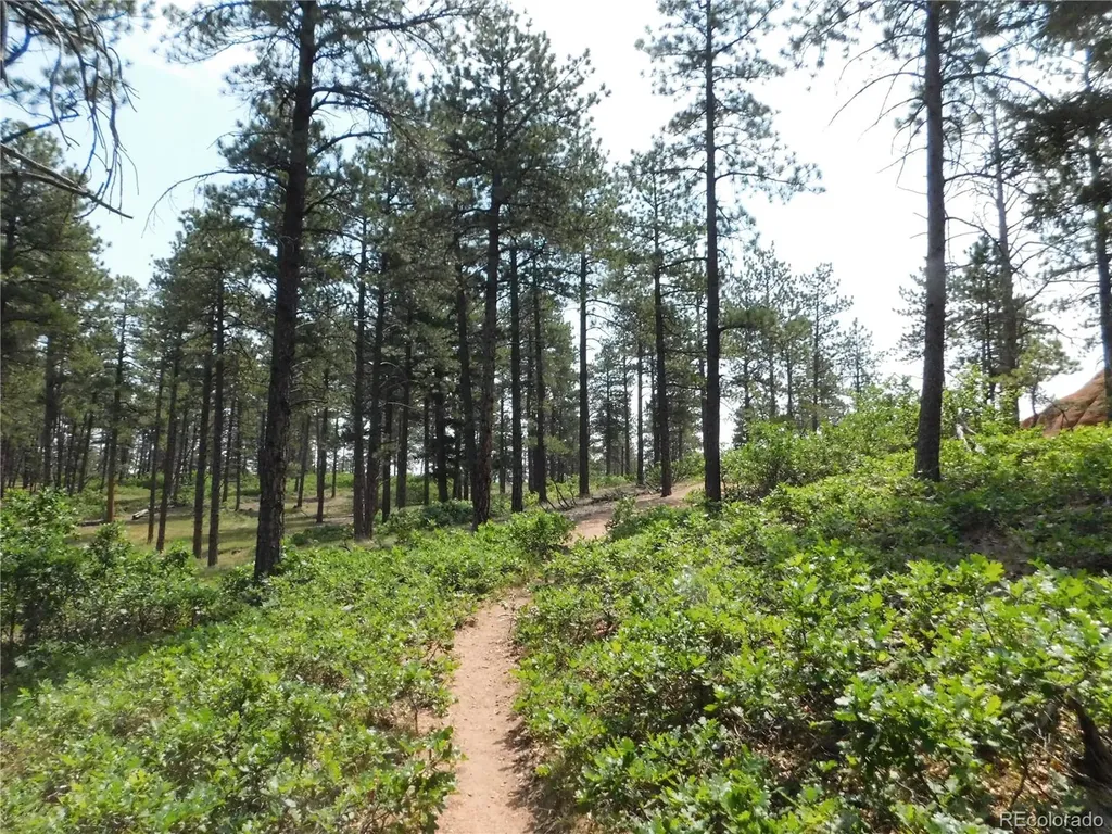 8356 Quivas Road Larkspur CO 80118