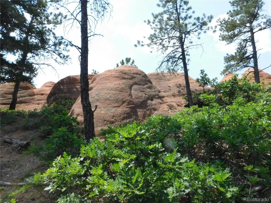8356 Quivas Road Larkspur CO 80118