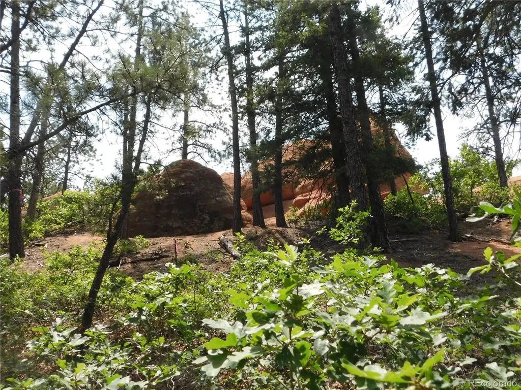 8356 Quivas Road Larkspur CO 80118