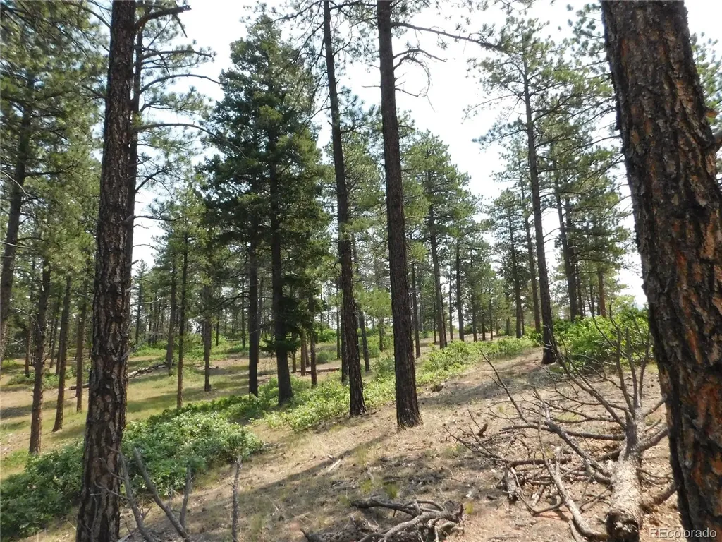 8356 Quivas Road Larkspur CO 80118