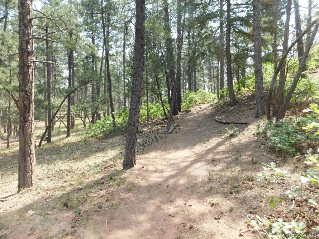 8356 Quivas Road Larkspur CO 80118