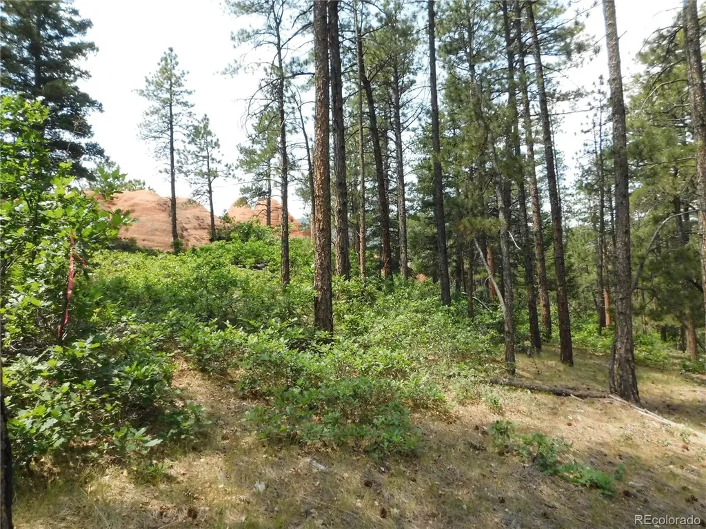 8356 Quivas Road Larkspur CO 80118
