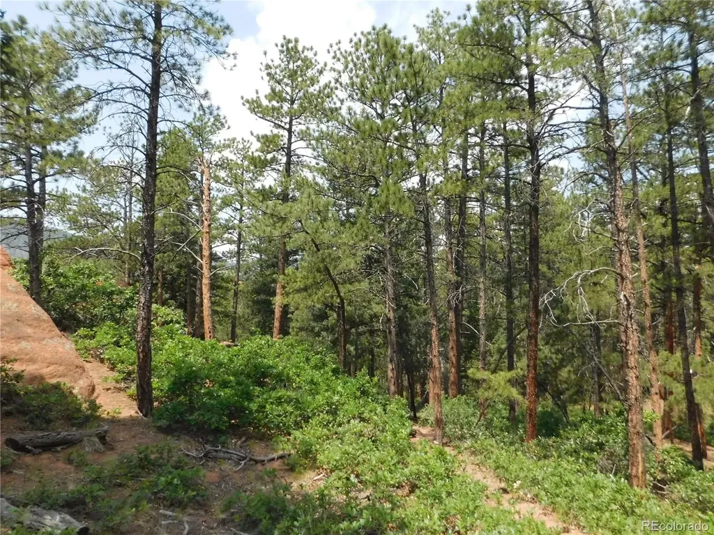 8356 Quivas Road Larkspur CO 80118