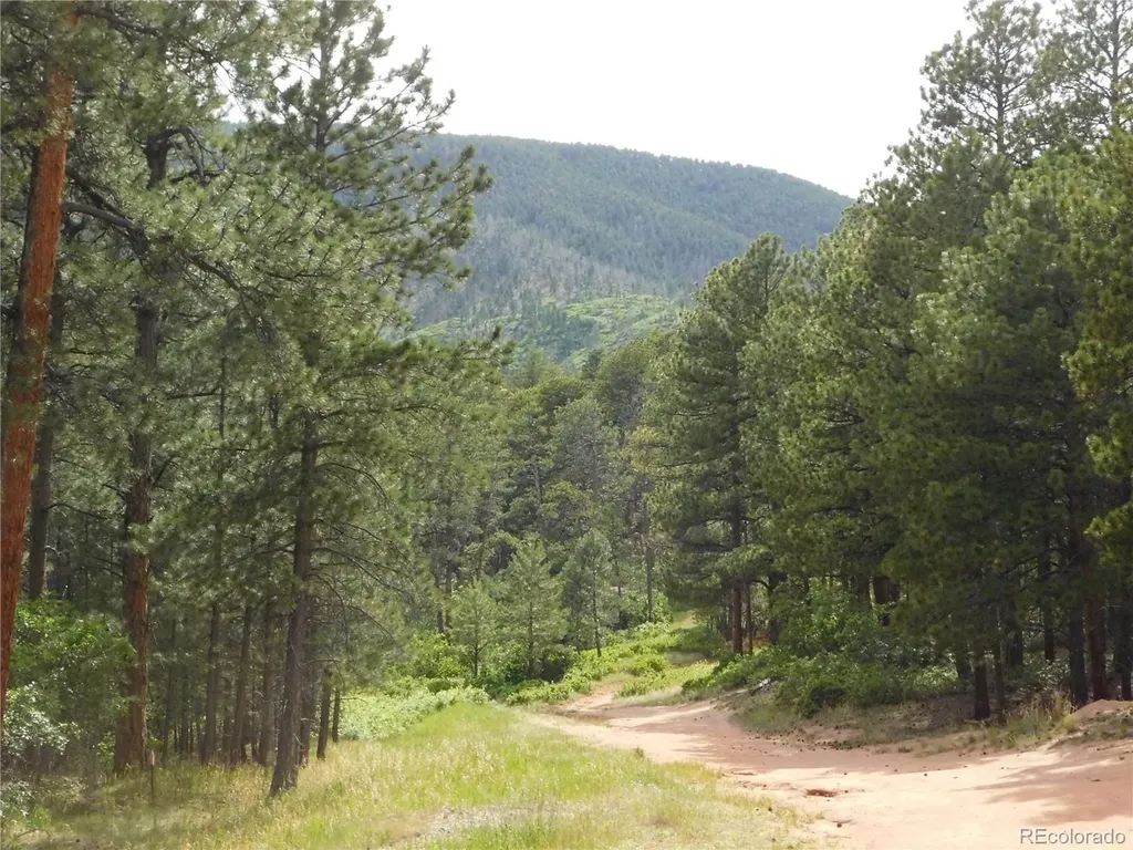 8356 Quivas Road Larkspur CO 80118
