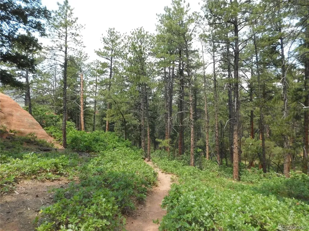 8356 Quivas Road Larkspur CO 80118