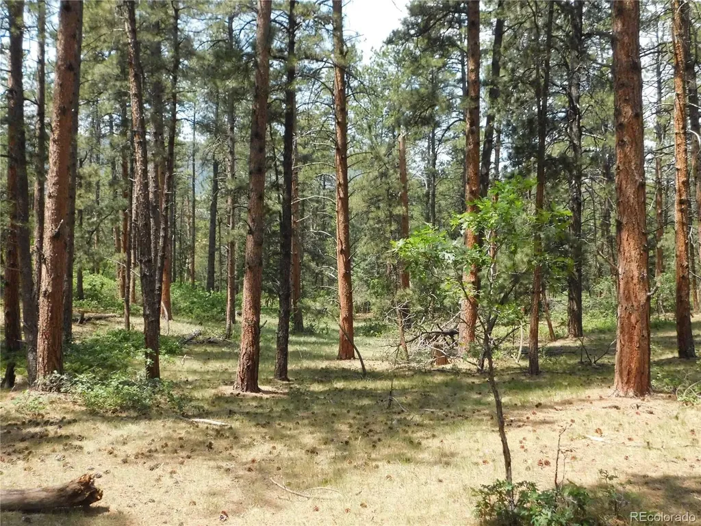 8356 Quivas Road Larkspur CO 80118