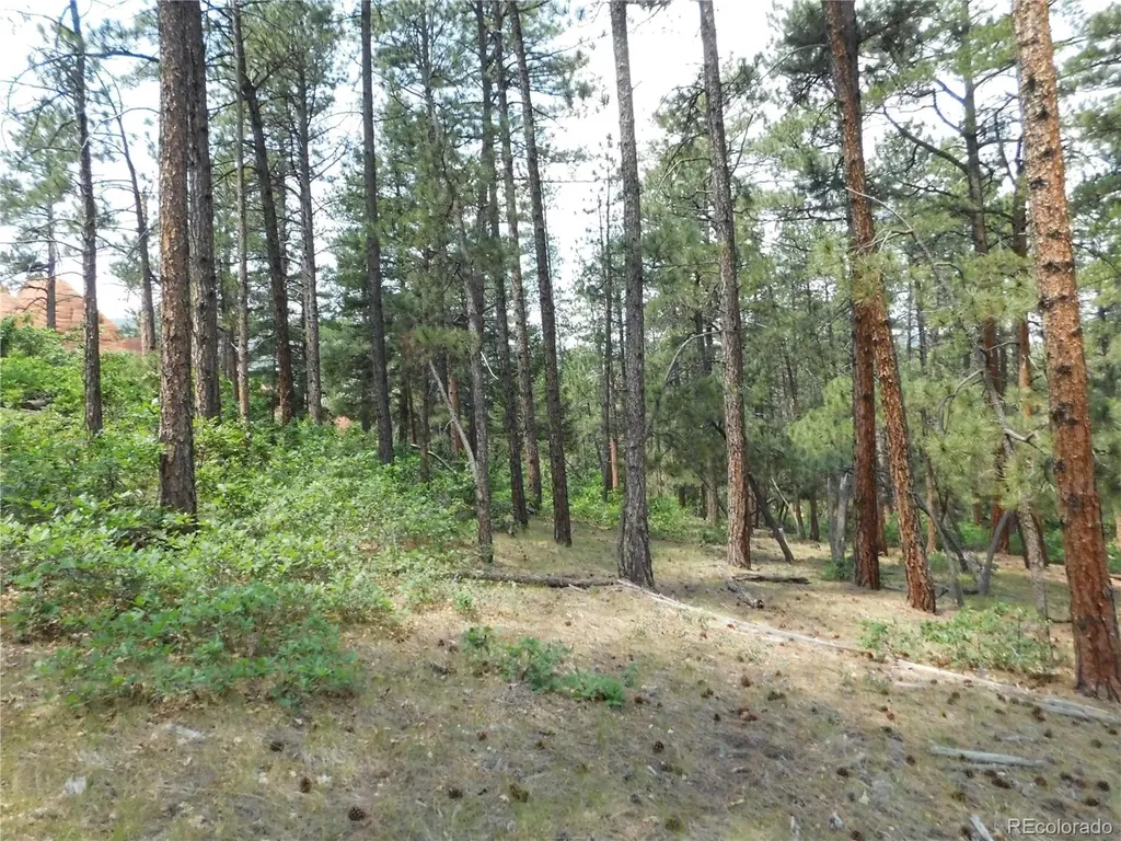 8356 Quivas Road Larkspur CO 80118