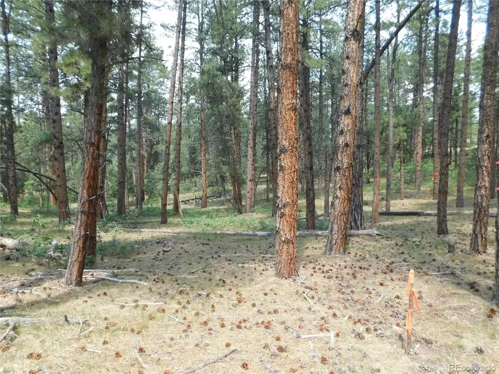 8356 Quivas Road Larkspur CO 80118