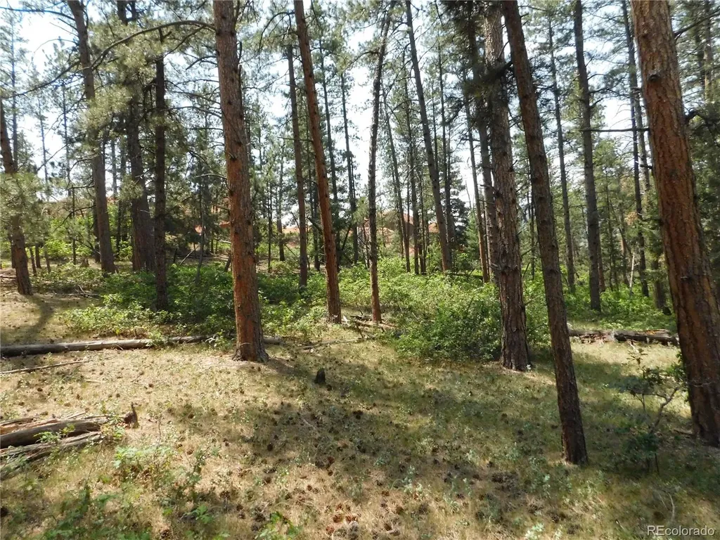 8356 Quivas Road Larkspur CO 80118