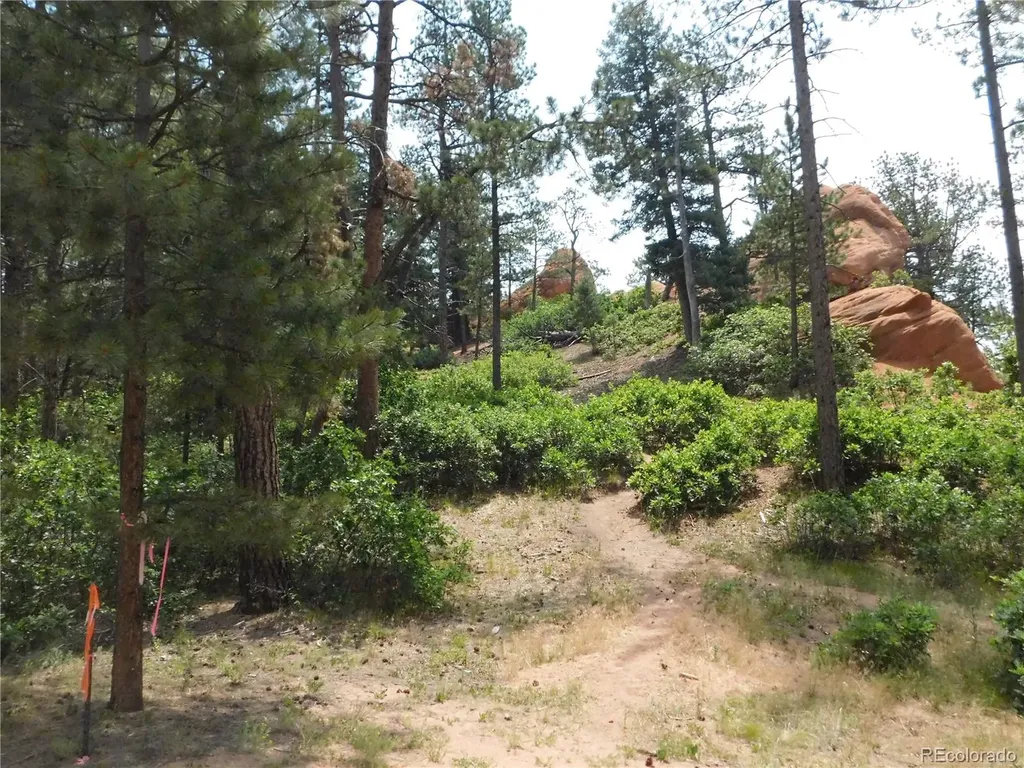 8356 Quivas Road Larkspur CO 80118
