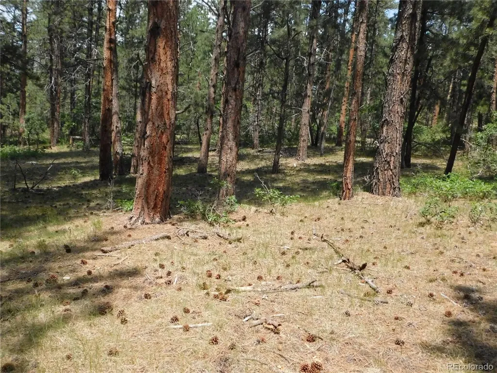 8356 Quivas Road Larkspur CO 80118