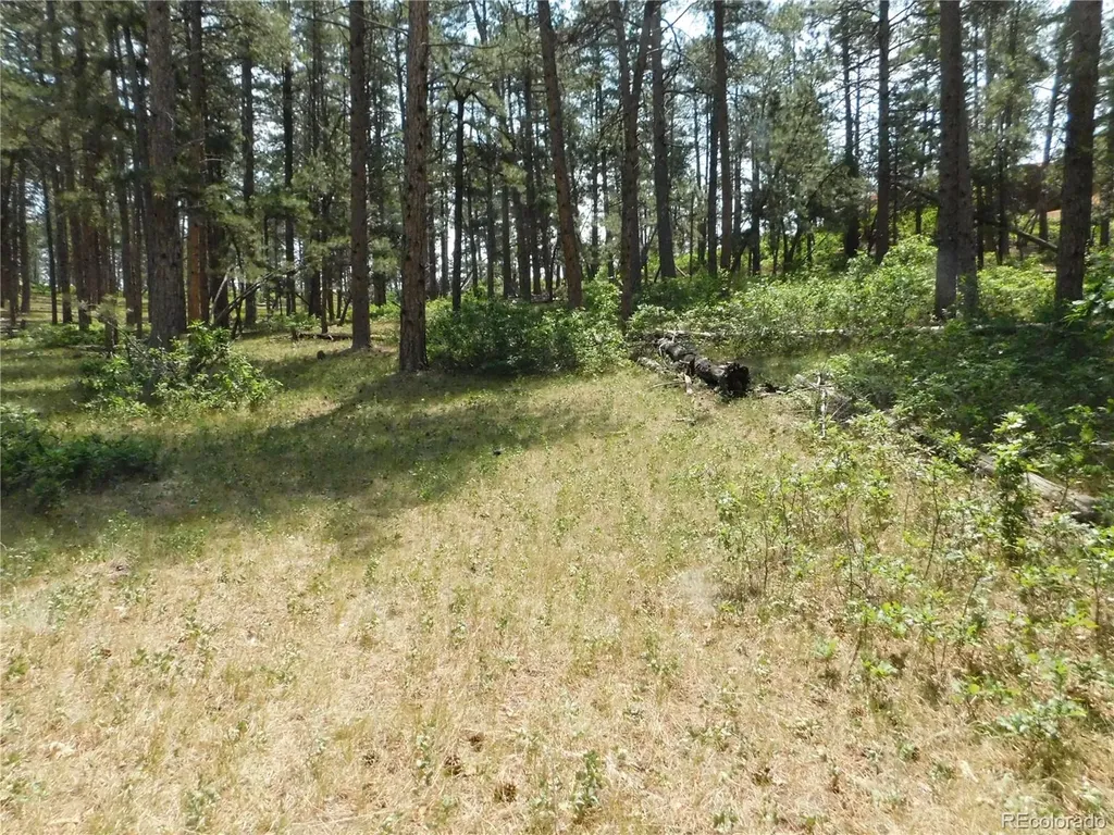 8356 Quivas Road Larkspur CO 80118