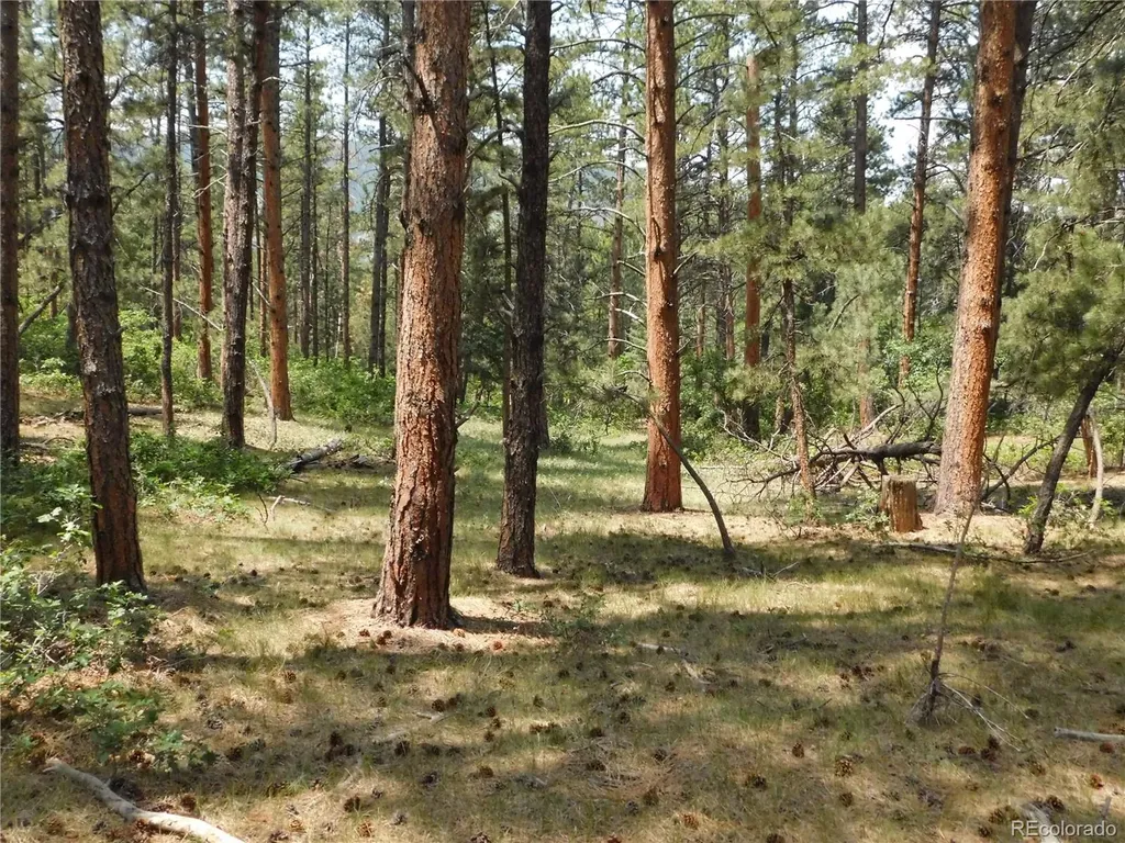 8356 Quivas Road Larkspur CO 80118