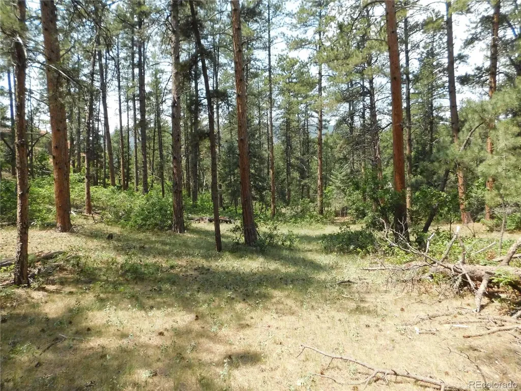 8356 Quivas Road Larkspur CO 80118