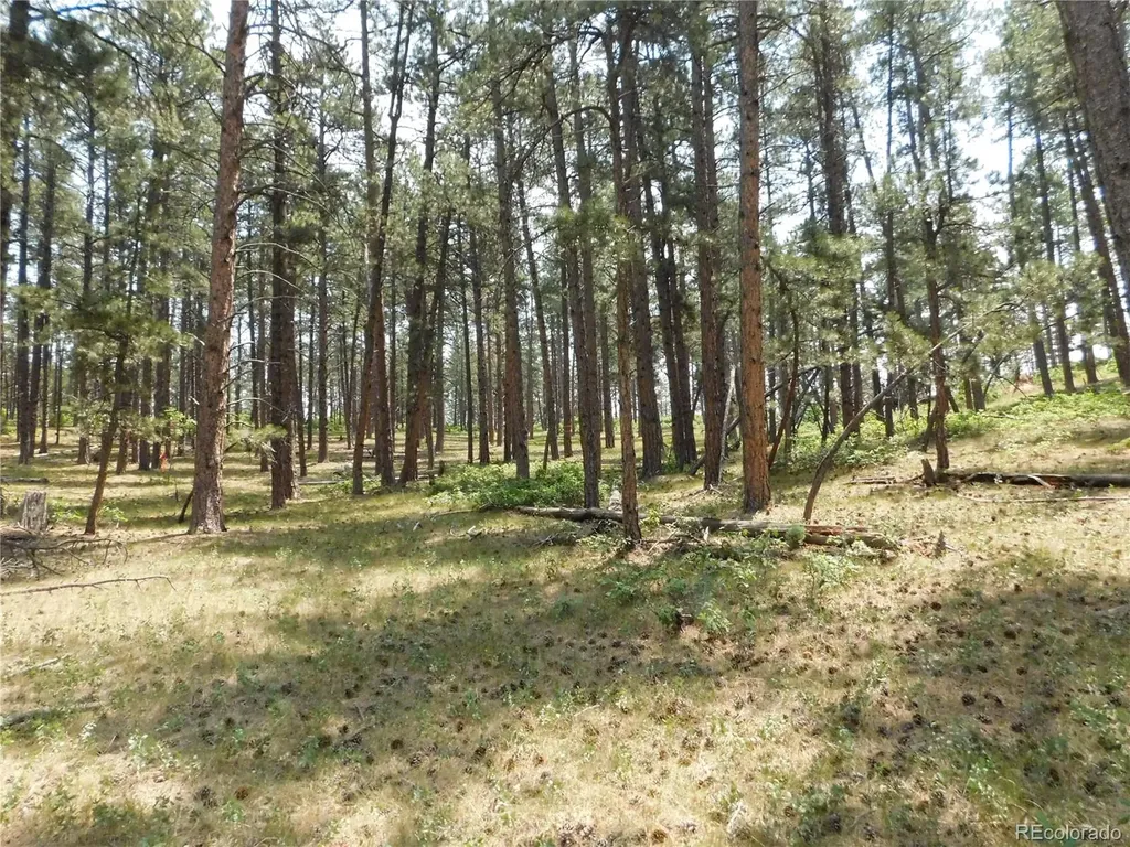 8356 Quivas Road Larkspur CO 80118