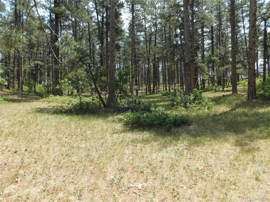 8356 Quivas Road Larkspur CO 80118