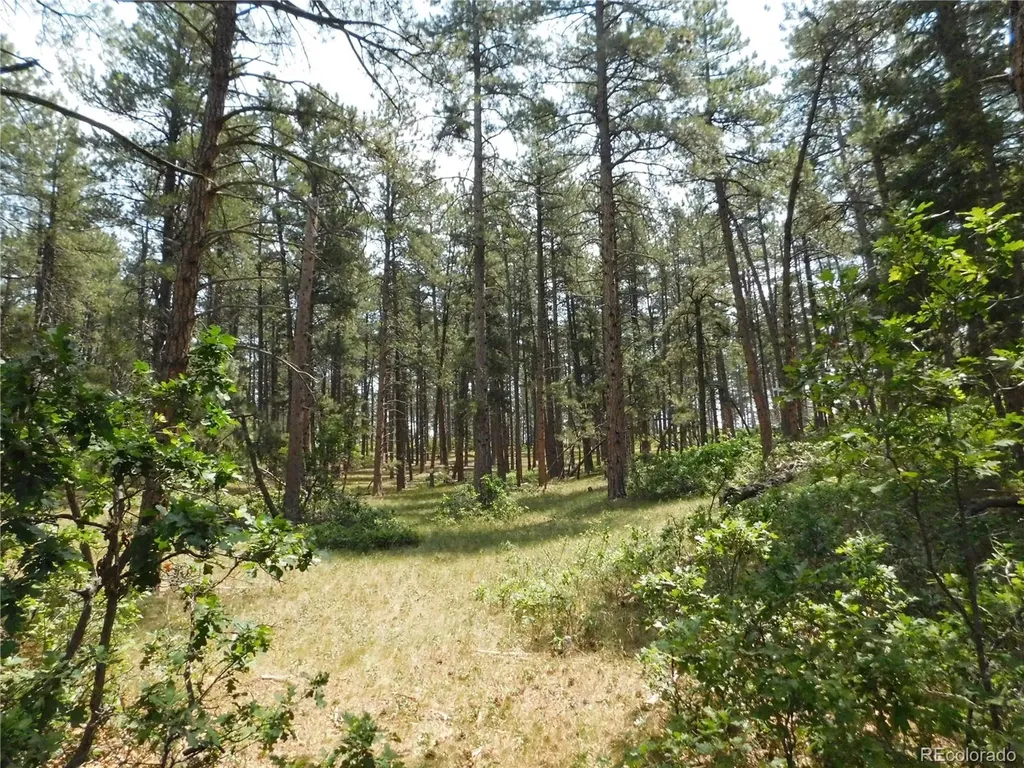 8356 Quivas Road Larkspur CO 80118
