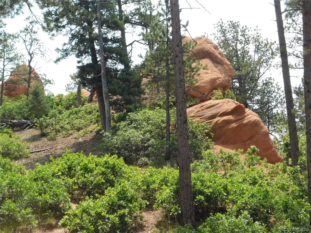 8356 Quivas Road Larkspur CO 80118