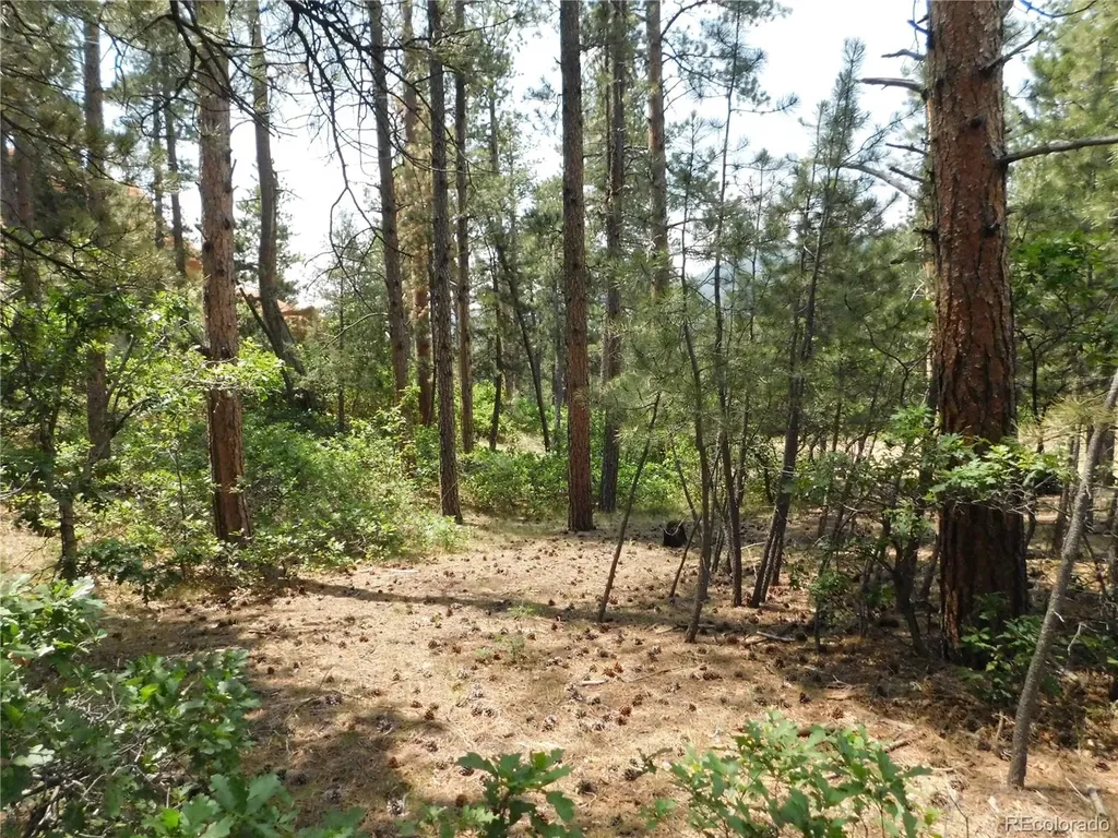 8356 Quivas Road Larkspur CO 80118