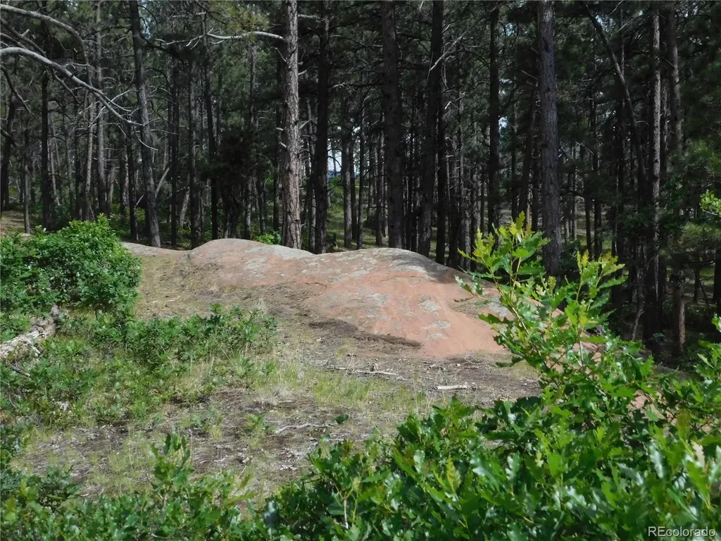 8356 Quivas Road Larkspur CO 80118