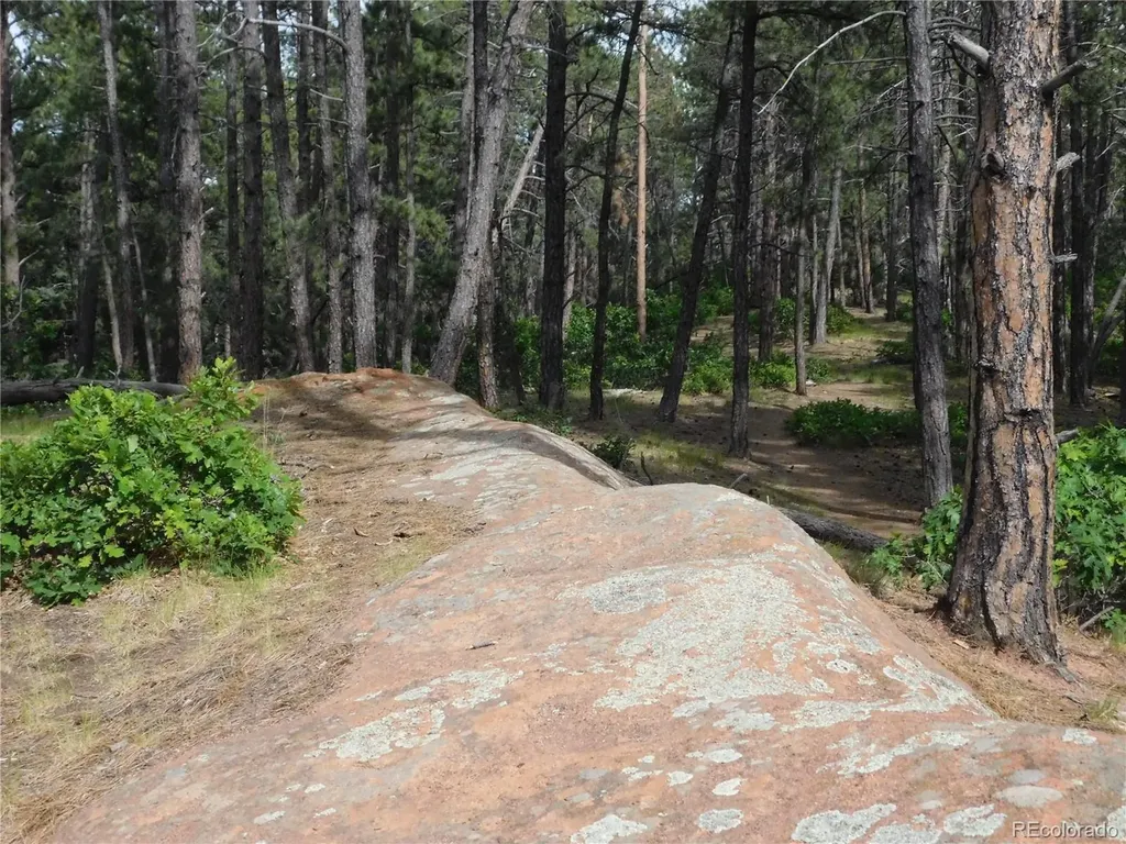 8356 Quivas Road Larkspur CO 80118