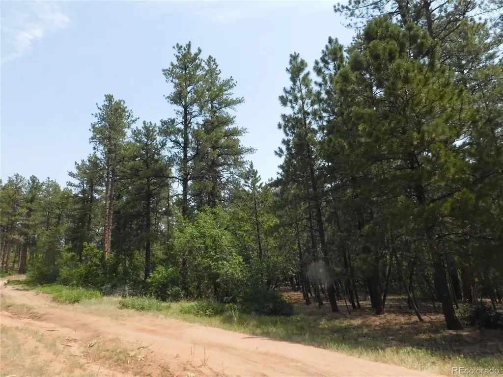 8356 Quivas Road Larkspur CO 80118
