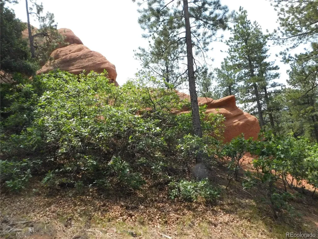 8356 Quivas Road Larkspur CO 80118