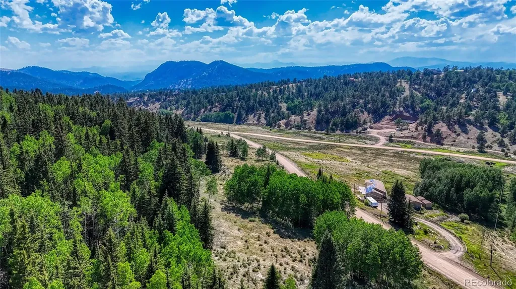 1444 Anges Drive Cripple Creek CO 80813