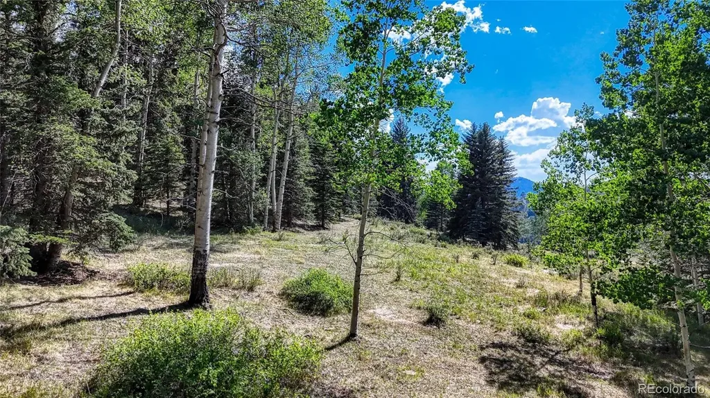 1444 Anges Drive Cripple Creek CO 80813