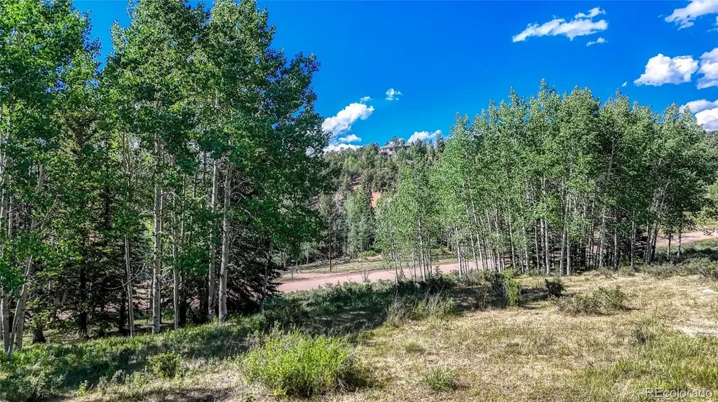 1444 Anges Drive Cripple Creek CO 80813