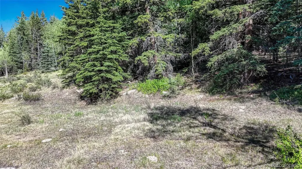 1444 Anges Drive Cripple Creek CO 80813