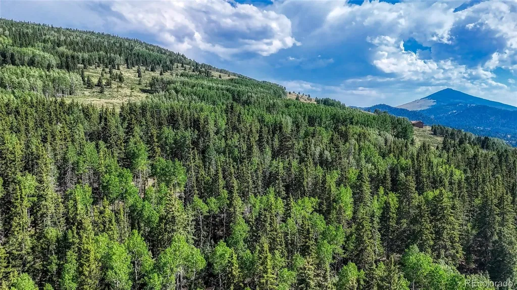 1444 Anges Drive Cripple Creek CO 80813