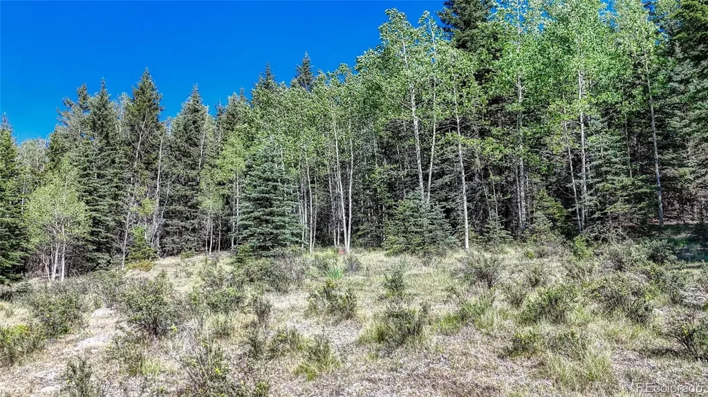 1444 Anges Drive Cripple Creek CO 80813
