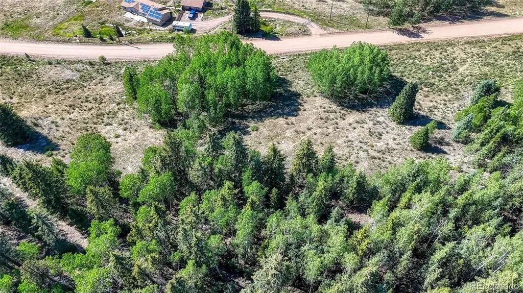 1444 Anges Drive Cripple Creek CO 80813