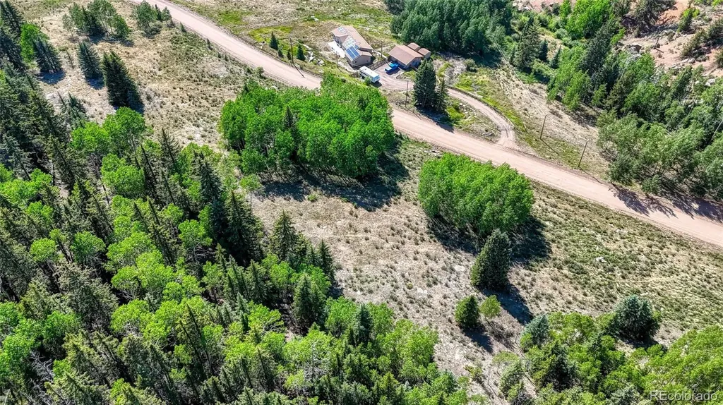 1444 Anges Drive Cripple Creek CO 80813