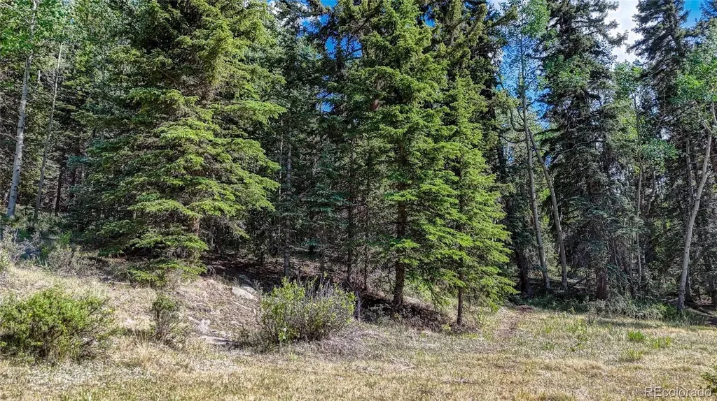 1444 Anges Drive Cripple Creek CO 80813
