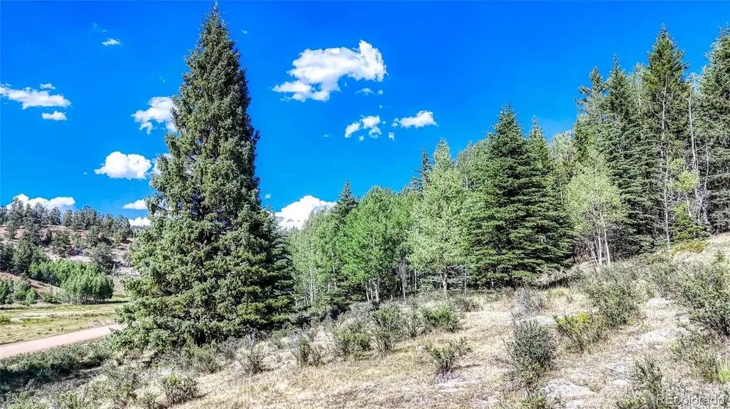1444 Anges Drive Cripple Creek CO 80813