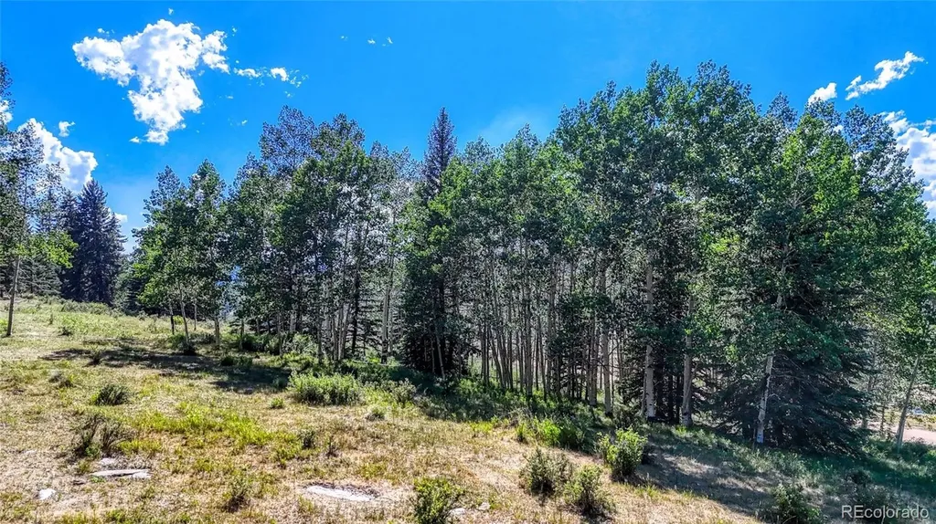 1444 Anges Drive Cripple Creek CO 80813