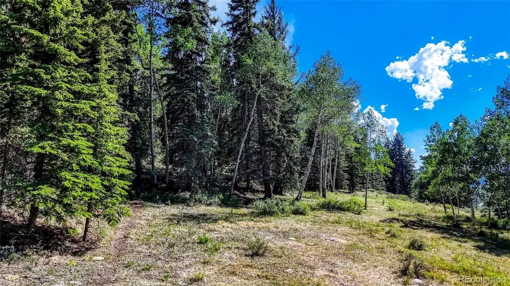 1444 Anges Drive Cripple Creek CO 80813