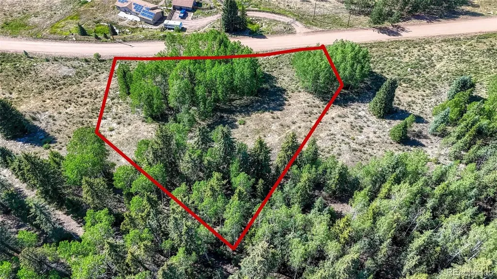 1444 Anges Drive Cripple Creek CO 80813