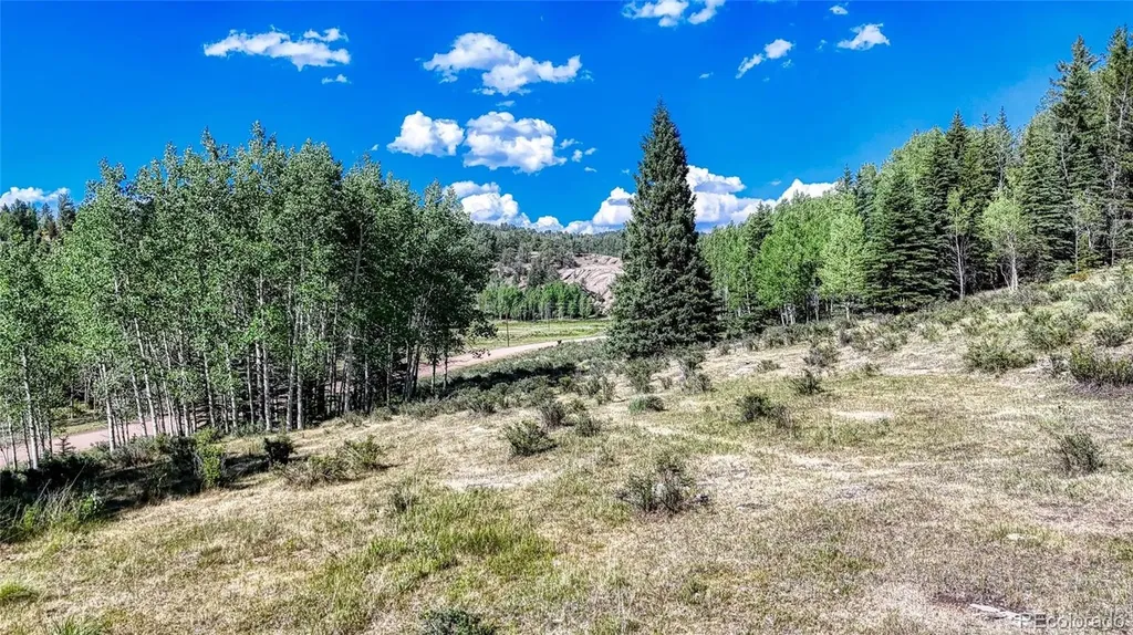 1444 Anges Drive Cripple Creek CO 80813