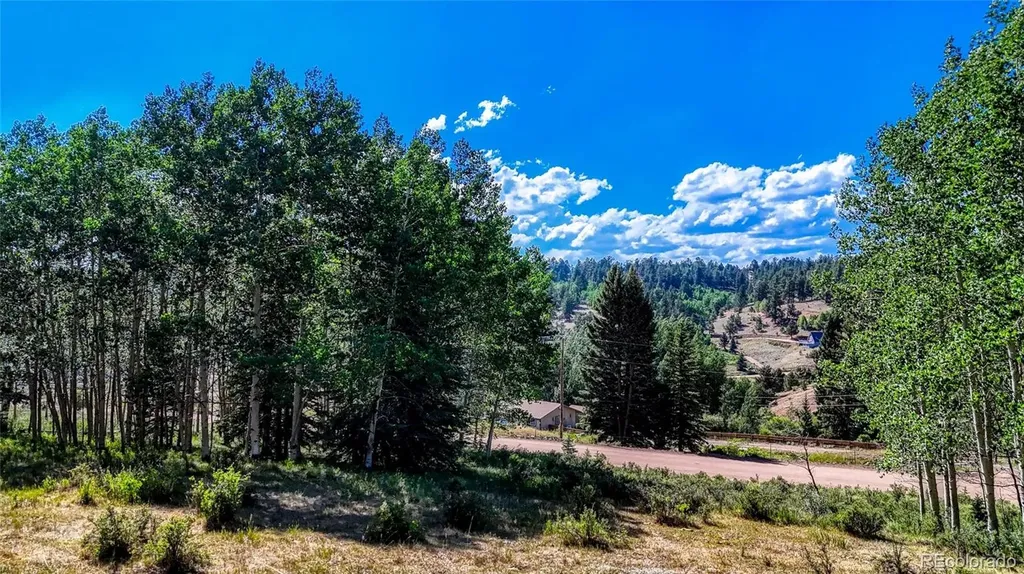 1444 Anges Drive Cripple Creek CO 80813