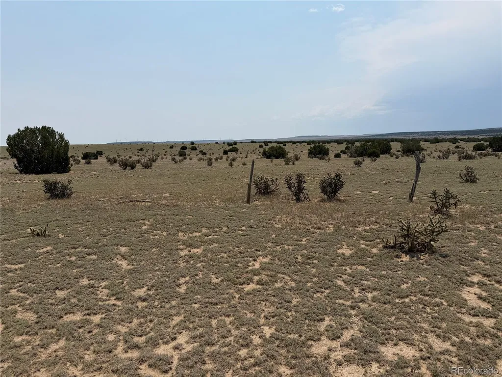 Lot 167 Tyrone Hills Ranch Walsenburg CO 81089